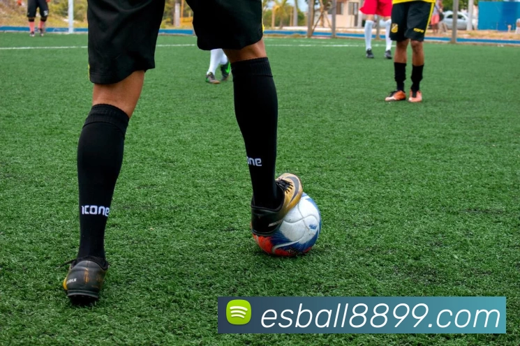 App Interface Preview