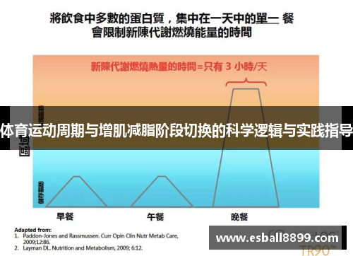 体育运动周期与增肌减脂阶段切换的科学逻辑与实践指导